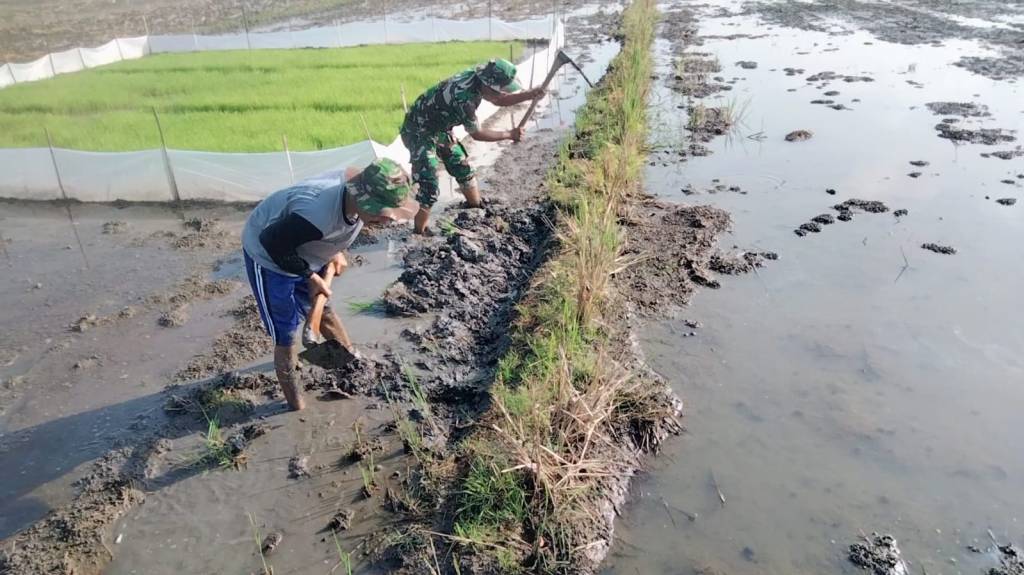 Babinsa Bantu Pembuatan Pematang Sawah Demi Suksesnya Bercocok&nbsp;Tanam